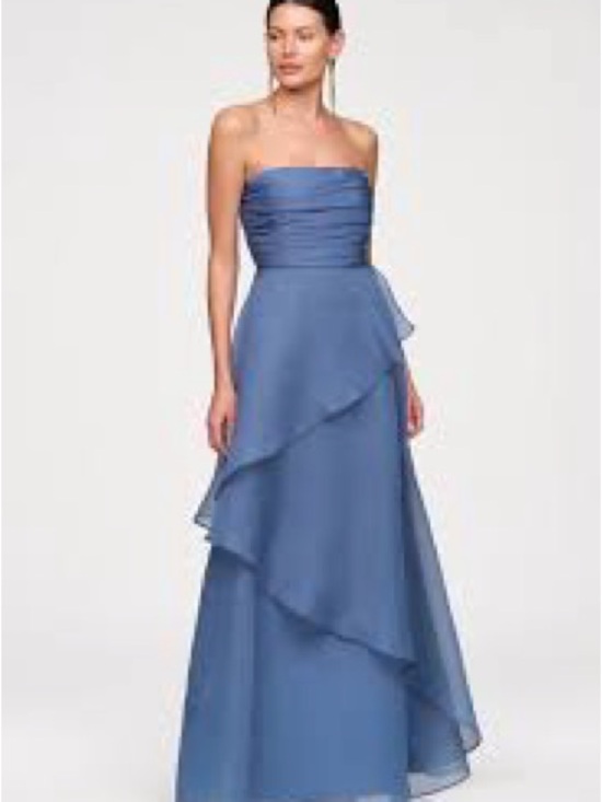 JS Collections Dresses & Skirts - JS Collection • NWOT $388 Amica Strapless Organza Gown PTP 16-18”